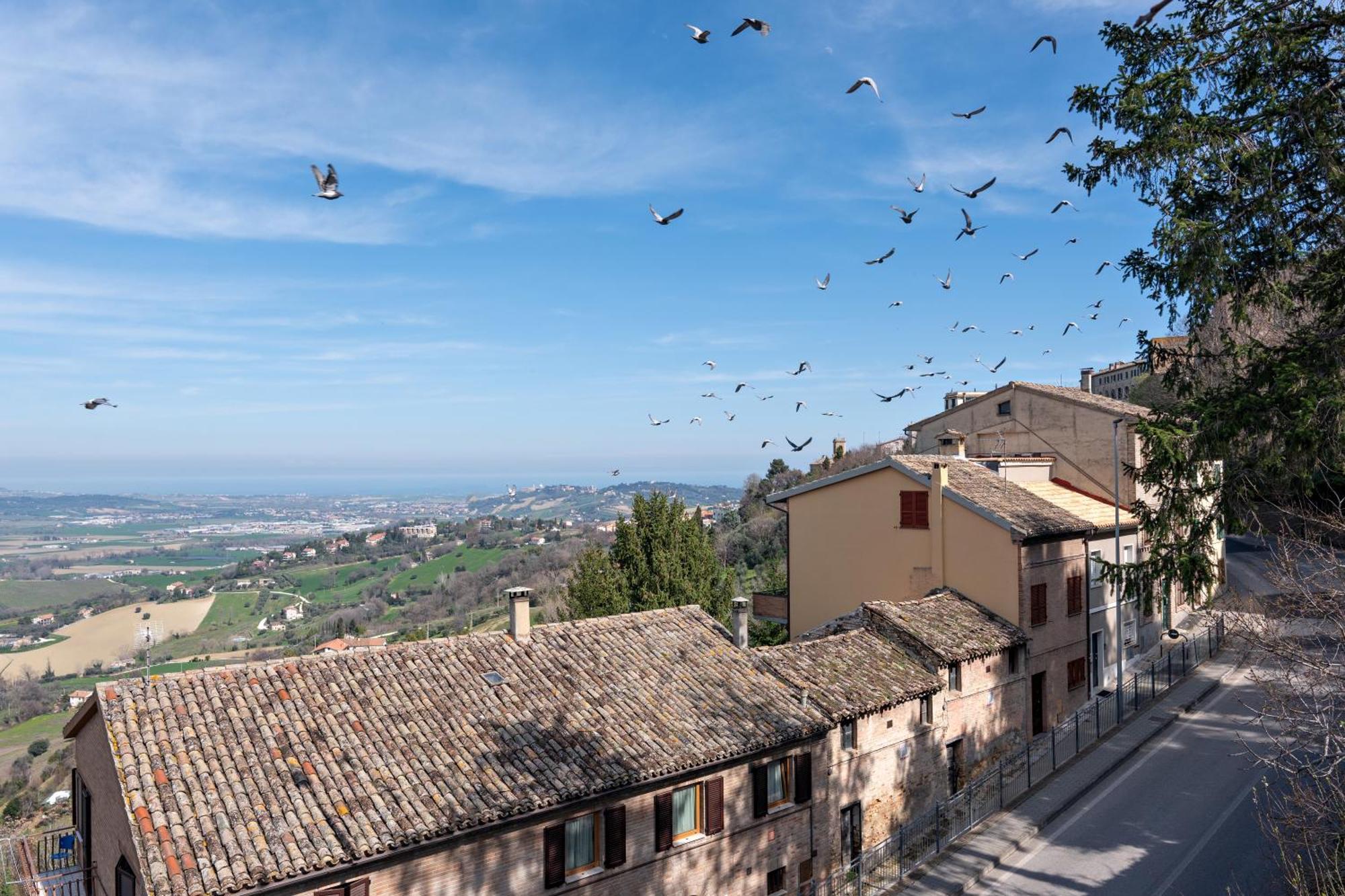 Silenziosa Luna Apartamento Recanati Exterior foto